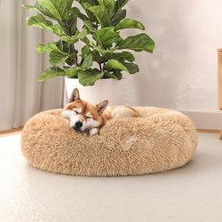 Italian Bed Linen Suave caseta Dreams para Perros y Gatos, Vainilla, 60 x 60 cm
