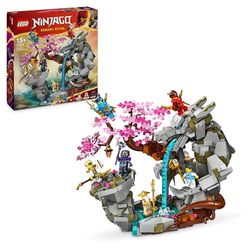 LEGO 71819 NINJAGO Altaar van de Stenen Draak Speelgoed Set van de Dragons Rising Tv-Serie