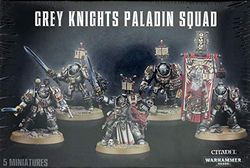 Warhammer 40k - Grey Knights Paladins/Terminators Squad