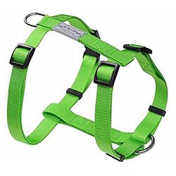 Wouapy ARNES Basic Line Verde 15MM/43-65CM