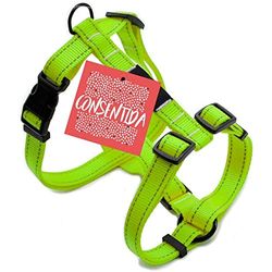 Consentida cn205647 Imbracatura Fluo T-3, 35 – 55 x 2 cm, L, Verde