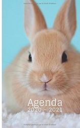 Agenda 2020 - 2021: Agenda 2020 2021 lapin| 1 jour par page| 292 pages| collège| lycée| étudiant| animaux.