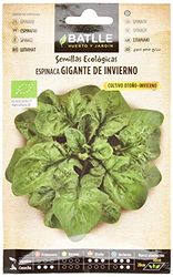 Graines Bio de Batlle - Épinards Géant d'hiver (4g), vert