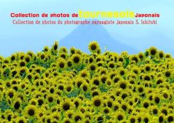 Collection de photos de tournesols japonais: Collection de photos du photographe paysagiste japonais S. Ishitobi