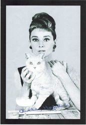 empireposter – Hepburn, Audrey – katt – storlek (cm), ca 20 x 30 – Tryckt spegel, NY – Beskrivning: – Väggspegel med svart plastram i träutseende –