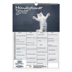 Tierzauber - Planificador de pared con diseño de gatos divertidos, planificador familiar, planificador de 4 columnas, calendario A3 para gatos divertidos 2024 Seelenzauber