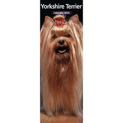 Yorkshire Terrier 2015 Slim Calendar