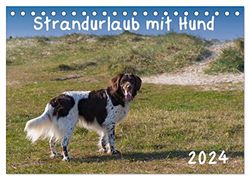 Strandurlaub mit Hund (Tischkalender 2024 DIN A5 quer), CALVENDO Monatskalender: Eine bunte Mischung vierbeiniger Standurlauber an der Nordsee