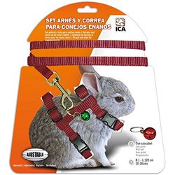 ICA DA1020 set met servies en riem voor dwerghazen, rood