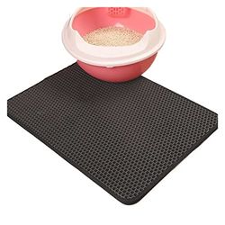 Cecotec 10 kg DrumFit inomhus motionscykel med svänghjul inomhus handmotstånd, LCD-skärm, remdrivning, enhetshållare, flaska och flaskhållare