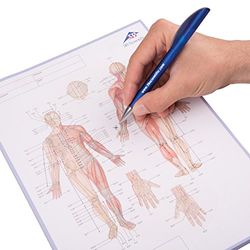 3B Scientific 1017881 zestaw do notowania z kartkami firmy Akupunktur