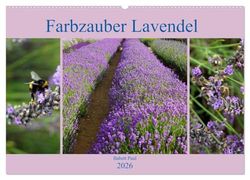 Farbzauber Lavendel (Wandkalender 2026 DIN A2 quer), CALVENDO Monatskalender: Lavendel in England mit unterschiedlichen Farbnuancen.