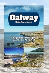 Galway Reiseführer 2025: Einzigartige Mischung aus Charme der Alten Welt