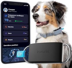 Invoxia Minitailz - GPS- och hälsospårare nr 1 för hundar - anti-flyktvarningar, andningsskanning - realtidsplats, område och virtuellt staket - minitracker på halsband - 1 års prenumeration ingår