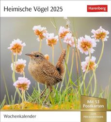 Heimische Vögel Postkartenkalender 2025 - Wochenkalender mit 53 Postkarten: Wochenkalender im Postkarten-Format mit Vogelporträts. Tischkalender mit ... neuen Postkarten zum Sammeln und Verschicken