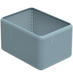 Rotho Madei Boîte de rangement 13l, Plastique (PP) sans BPA, bleu, 13l (32.6 x 23.8 x 18.8 cm)