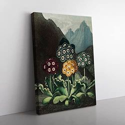 Bears Ear Flowers By Robert John Thornton Vintage Canvas Wall Art Print Ready to Hang, Framed Picture for Living Room Bedroom Home Office Décor, 60x40 cm (24x16 Inch)