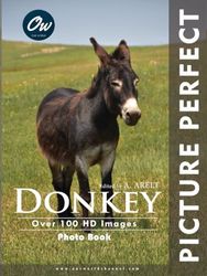 Donkey: Picture Perfect Photo Book