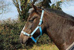 Rhinegold Licol en Nylon Layette Unisexe, Bleu bébé, Shetland,Pony,COB,Full,Extra Full