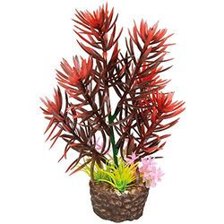 Hobby 51531 Flora Stone 2