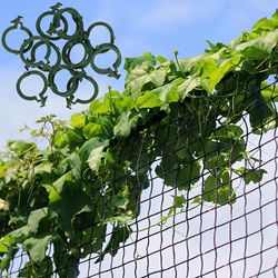 GARDENIX® 2x10 m klimnet voor tomaten, komkommers en klimplanten en 100 plantenclips (2x10 m, zwart)