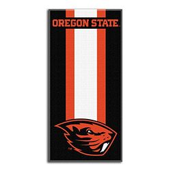 Northwest NCAA South Carolina Fighting Gamecocks Unisex-Adult Beach Towel, 30" x 60", Zone Read