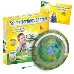 Insect Lore - 48111 - Kit voor levende insectenrups | Duits