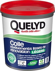 Quelyd Adesivo per rinnovamento della luce liscia, applicazione a parete, efficace in cucina e bagno, tutti i materiali, 1 vasetto da 1 kg