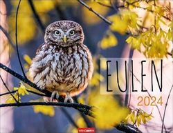 Eulen Kalender 2024