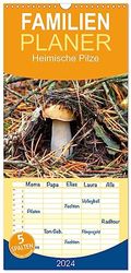 Familienplaner 2024 - Heimische Pilze mit 5 Spalten (Wandkalender, 21 x 45 cm) CALVENDO: Bekannte Pilze der heimischen Wälder