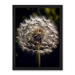 Artery8 Dandelion Flower Pappus Macro Photograph Dark Close Up Detail Artwork Framed Wall Art Print 18X24 Inch