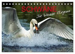 SCHWÄNE. (Tischkalender 2026 DIN A5 quer), CALVENDO Monatskalender: Die Weisse Eleganz