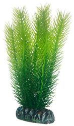 Hobby Mayaca Plante pour Aquariophilie 16 cm