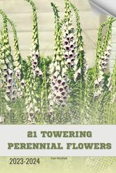 21 Towering Perennial Flowers: Become flowers expert