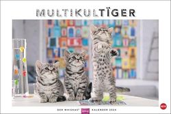 Whiskas Calendrier mural 2024 avec photos de chats mignons et histoires amusantes. Calendrier mural 2024 au beau design. Calendrier photo 2024. Format paysage 45 x 30 cm.