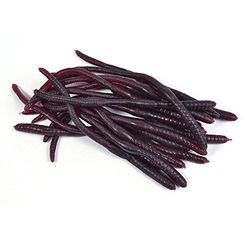 Bristol Novelty GJ429 Vers de terre, accessoires pour Halloween, pour adultes, marron, taille unique Halloween
