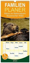 Familienplaner 2024 - Bären im Nationalpark Bayerischer Wald mit 5 Spalten (Wandkalender, 21 cm x 45 cm) CALVENDO