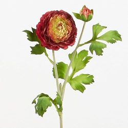 VARA RANUNCULO FUCSIA 66 CMS. 66 cms