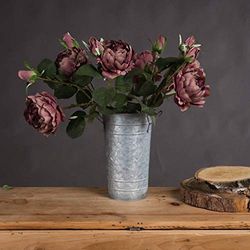The Recipe Dusty Pink Spray Rose Peony
