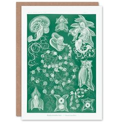 Artery8 Ernst Haeckel Art Card Siphonophorae Vintage Marine Illustration