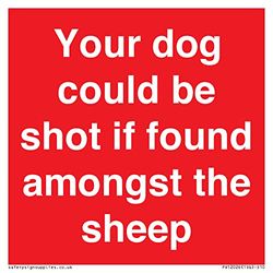Your dog could be shot if found amongst the sheep Sign - 100x100mm - S10