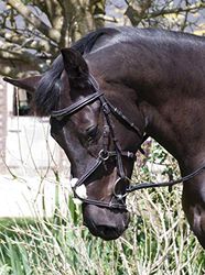Rhinegold Elegancia Cosido Mexicano Bridle-Full-Havana Brida, 32, Plein