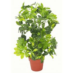 Leaf Folha 75 cm artificial Schefflera arboricola planta guarda-chuva árvore ouro capella