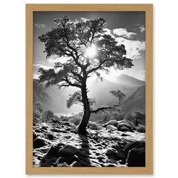 Artery8 Frozen Tree Outline in Mountain Forest Landscape Covered in Snow Black and White Photograph Winter Sunshine Artwork Framed A3 Wall Art Print