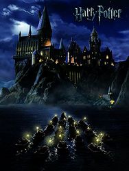 Harry Potter Hogwarts School Canvas Print, Katoen, 40 x 50 cm