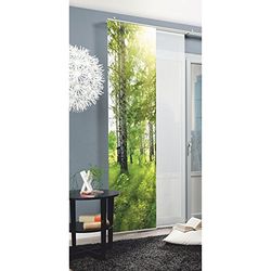 Home Fashion 87942-768 Panneau Japonais Polyester H:245 x W: 60 cm - VERT