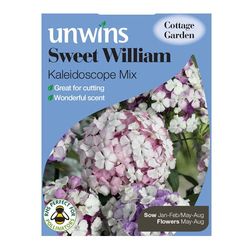 Westland caleidoscoop-mix, Sweet William