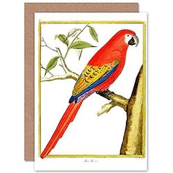 Fine Art Prints Bird Red Parrot Greeting Card With Envelope Inside Premium Quality