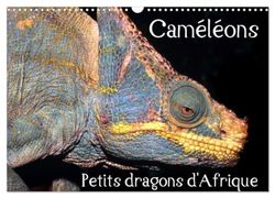 Caméléons - Petits dragons d'Afrique. (Calendrier mural 2025 DIN A3 vertical), CALVENDO calendrier mensuel: Douze portraits extraordinaires des plus surprenantes espèces de caméléons.