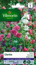 Vilmorin 5228541 Clarkia elegant, dubbele variant, meerkleurig, 90 x 2 x 160 cm